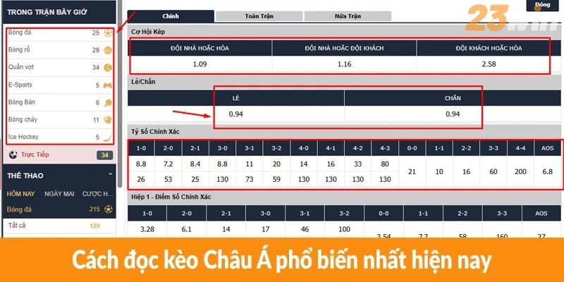 Cách đọc kèo Châu Á phổ biến nhất hiện nay