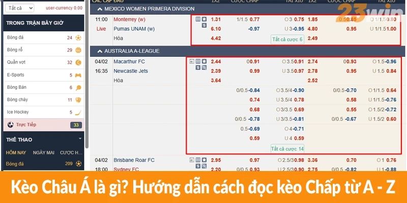 Kèo Châu Á là gì? Hướng dẫn cách đọc kèo Chấp từ A - Z