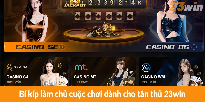 Bí kíp làm chủ cuộc chơi dành cho tân thủ 23win