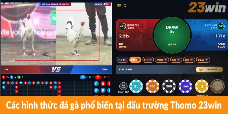 Các hình thức đá gà phổ biến tại đấu trường Thomo 23win