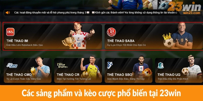 Các sản phẩm và kèo cược phổ biến tại 23win
