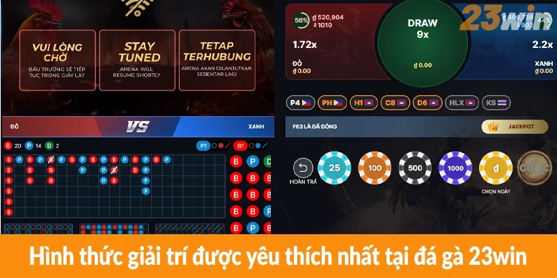 Hình thức giải trí được yêu thích nhất tại đá gà 23win