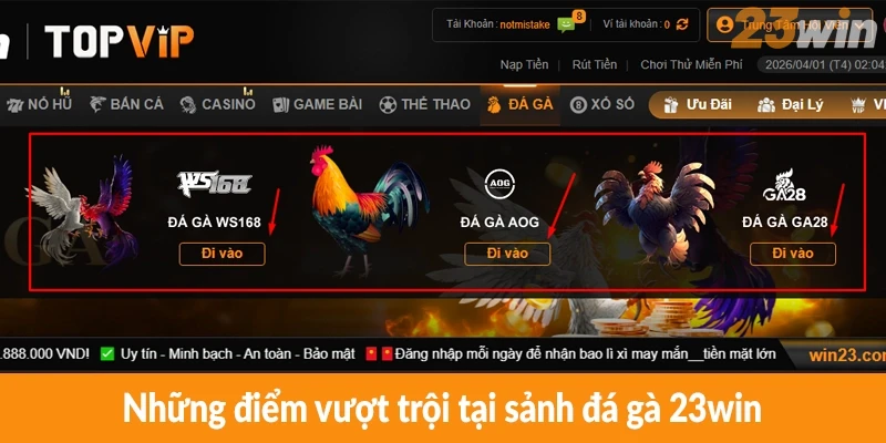 Những điểm vượt trội tại sảnh đá gà 23win