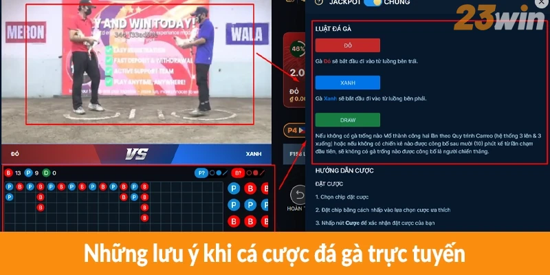 Những lưu ý khi cá cược đá gà trực tuyến
