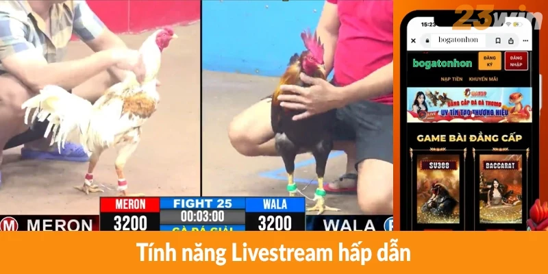 Tính năng Livestream hấp dẫn