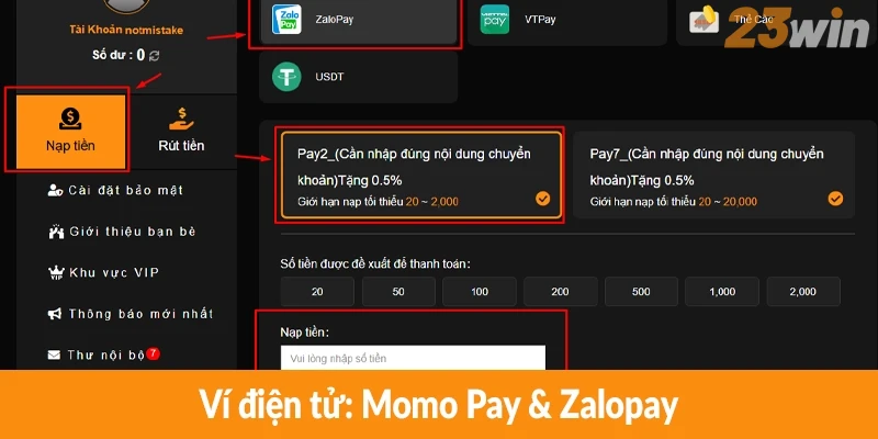 Ví điện tử: Momo Pay & Zalopay